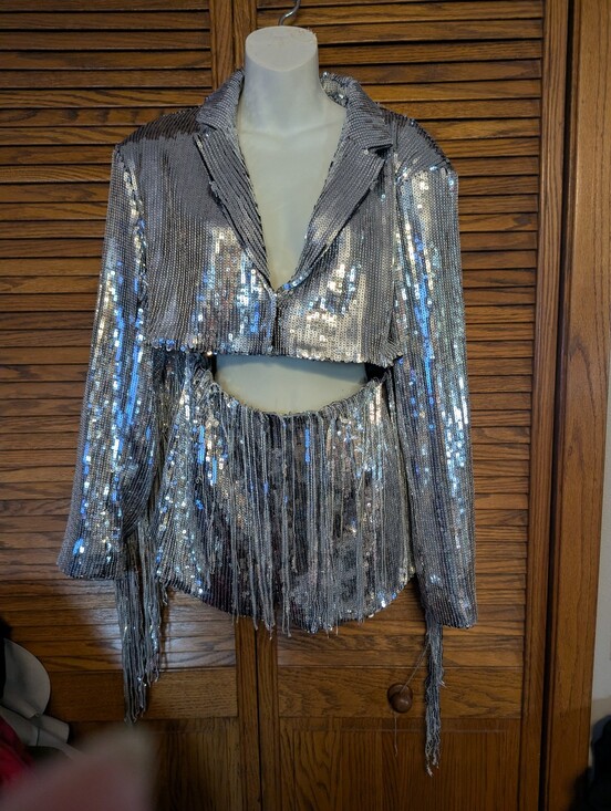 Nasty Gal Pants - Nasty Gal NWT Fringe Trim Sequin Romper Playsuit Silver Shorts Size 6